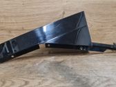 Rear door trim (molding)
