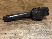 Indicator stalk