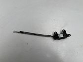 Tailgate/trunk/boot lock/catch/latch