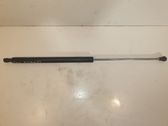 Tailgate/trunk strut/damper