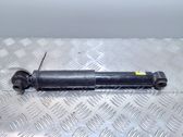 Rear shock absorber/damper