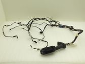 Front door wiring loom