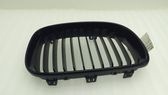 Atrapa chłodnicy / Grill