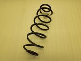 Rear coil spring