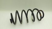 Front coil spring