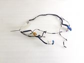 Front door wiring loom