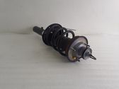 Rear shock absorber with coil spring