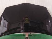 Engine bonnet/hood