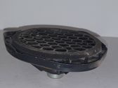 Rear door speaker