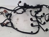Other wiring loom