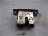 Tailgate lock latch