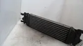 Chłodnica powietrza doładowującego / Intercooler