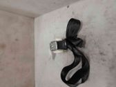 Sicherheitsgurt hinten