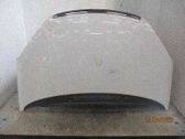 Motorhaube