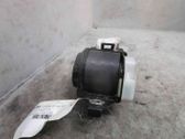 Cinturón medio (trasero)