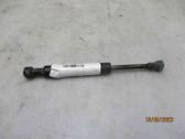 Tailgate/trunk strut/damper