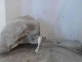 Depósito/tanque del líquido limpiaparabrisas
