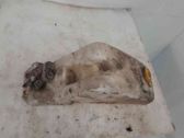 Depósito/tanque del líquido limpiaparabrisas