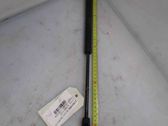 Front bonnet/hood damper/strut