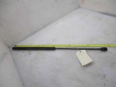 Front bonnet/hood damper/strut