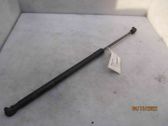 Front bonnet/hood damper/strut