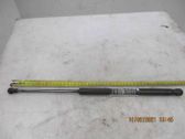 Tailgate/trunk strut/damper
