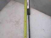 Tailgate/trunk strut/damper
