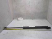 Tailgate/trunk strut/damper