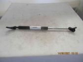 Tailgate/trunk strut/damper