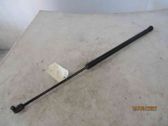 Tailgate/trunk strut/damper