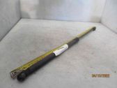 Tailgate/trunk strut/damper