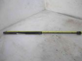 Tailgate/trunk strut/damper