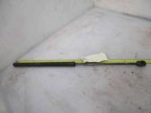 Tailgate/trunk strut/damper