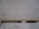 Tailgate/trunk strut/damper
