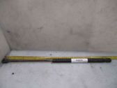 Tailgate/trunk strut/damper