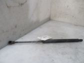 Amortiguador/puntal del maletero/compartimento de carga