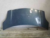 Motorhaube