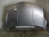Motorhaube