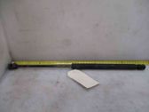 Tailgate/trunk strut/damper