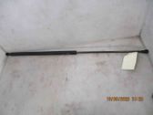 Tailgate/trunk strut/damper
