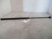 Tailgate/trunk strut/damper