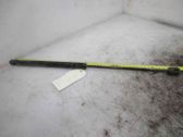 Tailgate/trunk strut/damper
