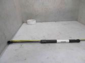 Tailgate/trunk strut/damper