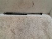 Tailgate/trunk strut/damper