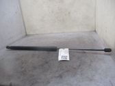 Tailgate/trunk strut/damper