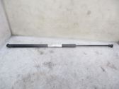 Tailgate/trunk strut/damper