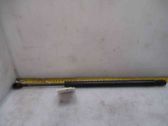 Tailgate/trunk strut/damper
