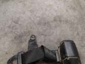 Cinturón trasero