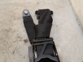 Cinturón trasero