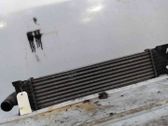 Radiador intercooler